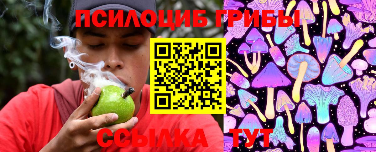 Псилоцибиновые грибы мухоморы Заволжье
