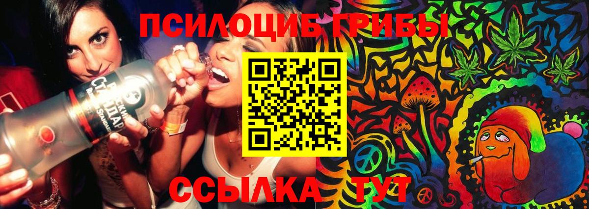Заволжье  Псилоцибиновые грибы GOLDEN TEACHER  Вход с VPN 